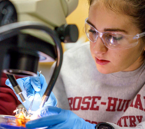 Female student working on a project