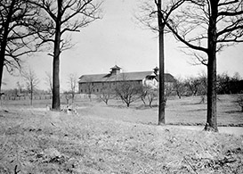 Campus in 1915 Fall