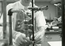 Students in laboratory