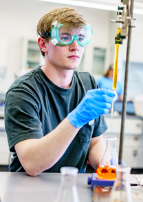 Male student wearing latex gloves examines specimen.