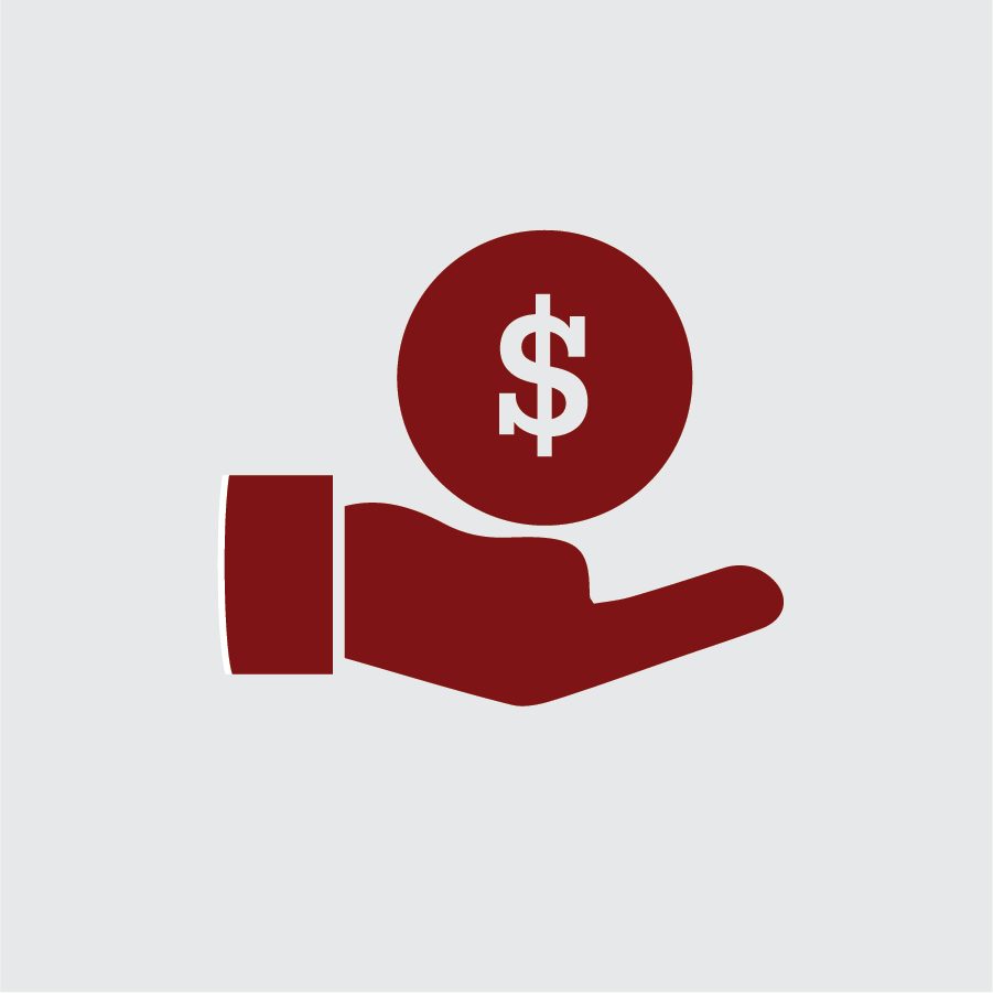 icon of dollar on hand