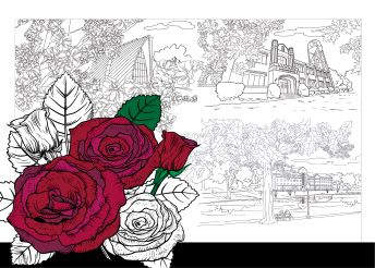 Coloring book with a red rose on the cover.