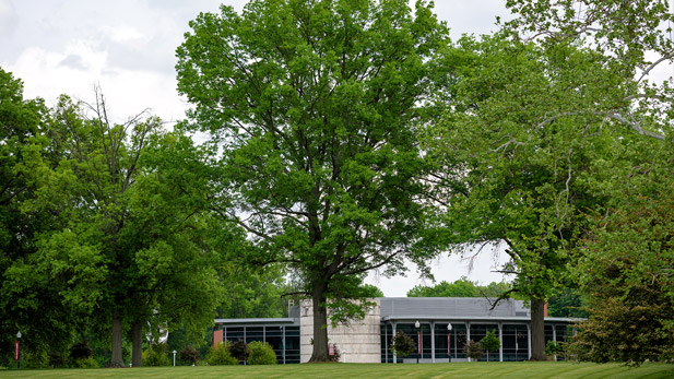 View of trees on Rose campus in front of Hatfield Hall.