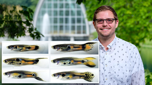 Dr. Williamson with images of guppies.