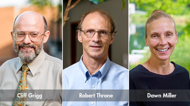 Headshots of Professors Cliff Grigg (left) and Robert Throne (middle) and Dawn Miller (right).
