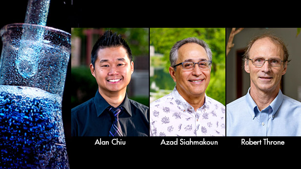 Left: A laboratory beaker filled with blue fluid. Right: Headshots of all three featured professors.