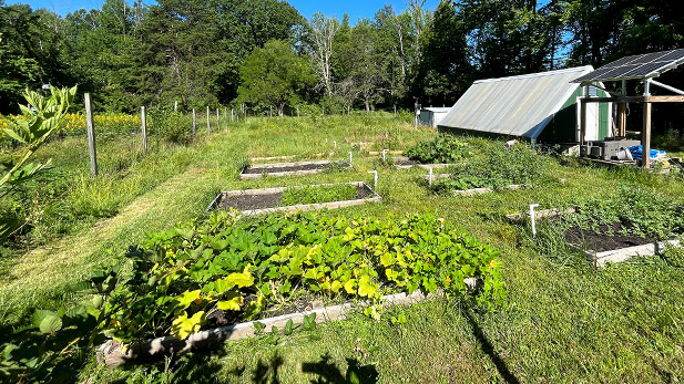 Rose-Hulman campus community garden.