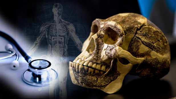 Collage image of a stethoscope and a skeleton model.