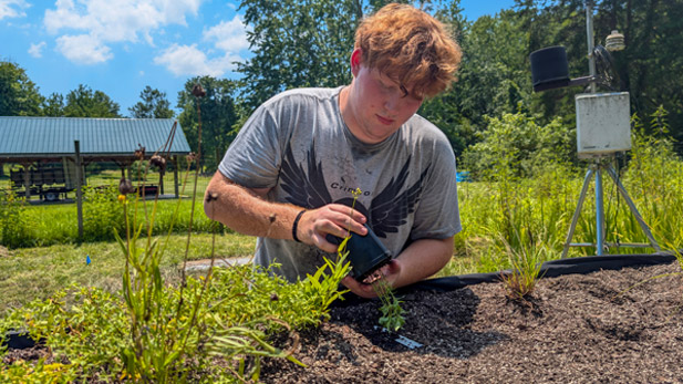 Alasdair Curts tends to plants in the garden.