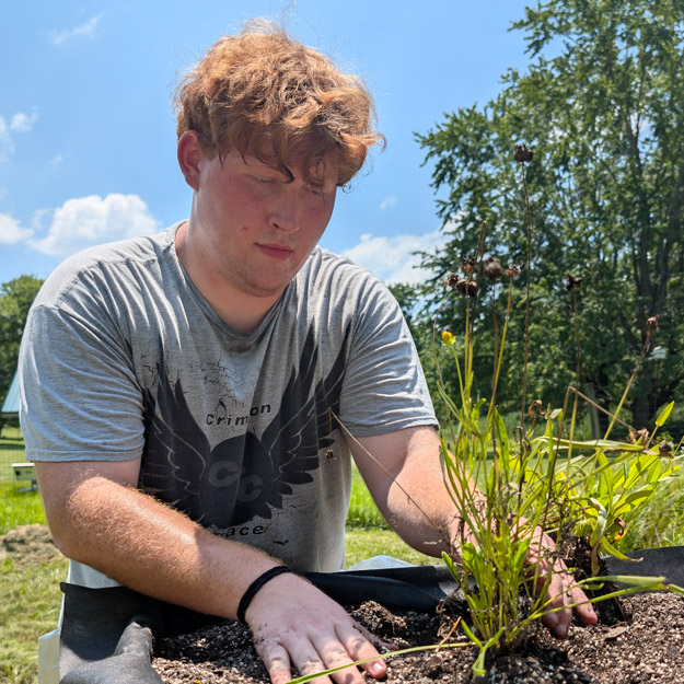 Alasdair Curts tends to plants in the garden.